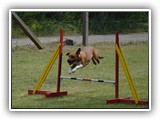 Luni im Flug