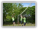Abteilung Volleyball
