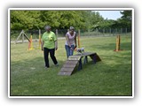 Mitmachstrecke Hundesport