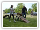 Mitmachstrecke Hundesport