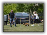 Mitmachstrecke Hundesport